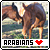 Equines :: Arabians: 