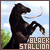 Film :: The Black Stallion: 
